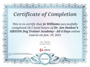 Certified dog trainer
